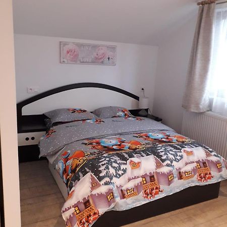 Cazare Regim Hotelier Zarnesti Exterior photo